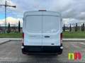 Ford Transit 350 77kW L2H2 Van Trend Delantera Blanco - thumbnail 8