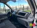 Ford Transit 350 77kW L2H2 Van Trend Delantera Blanco - thumbnail 11