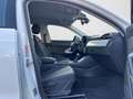 Audi Q3 35 TFSI S tronic NAVI EPH+ GRA Weiß - thumbnail 4