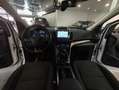 Ford Kuga 1.5 EcoBoost 110kW 4x2 Trend+ Blanco - thumbnail 23
