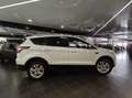 Ford Kuga 1.5 EcoBoost 110kW 4x2 Trend+ Blanco - thumbnail 21