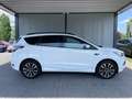 Ford Kuga ST-Line Weiß - thumbnail 12