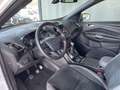 Ford Kuga ST-Line Weiß - thumbnail 15