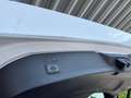 Ford Kuga ST-Line Weiß - thumbnail 28