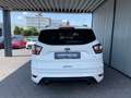 Ford Kuga ST-Line Weiß - thumbnail 10