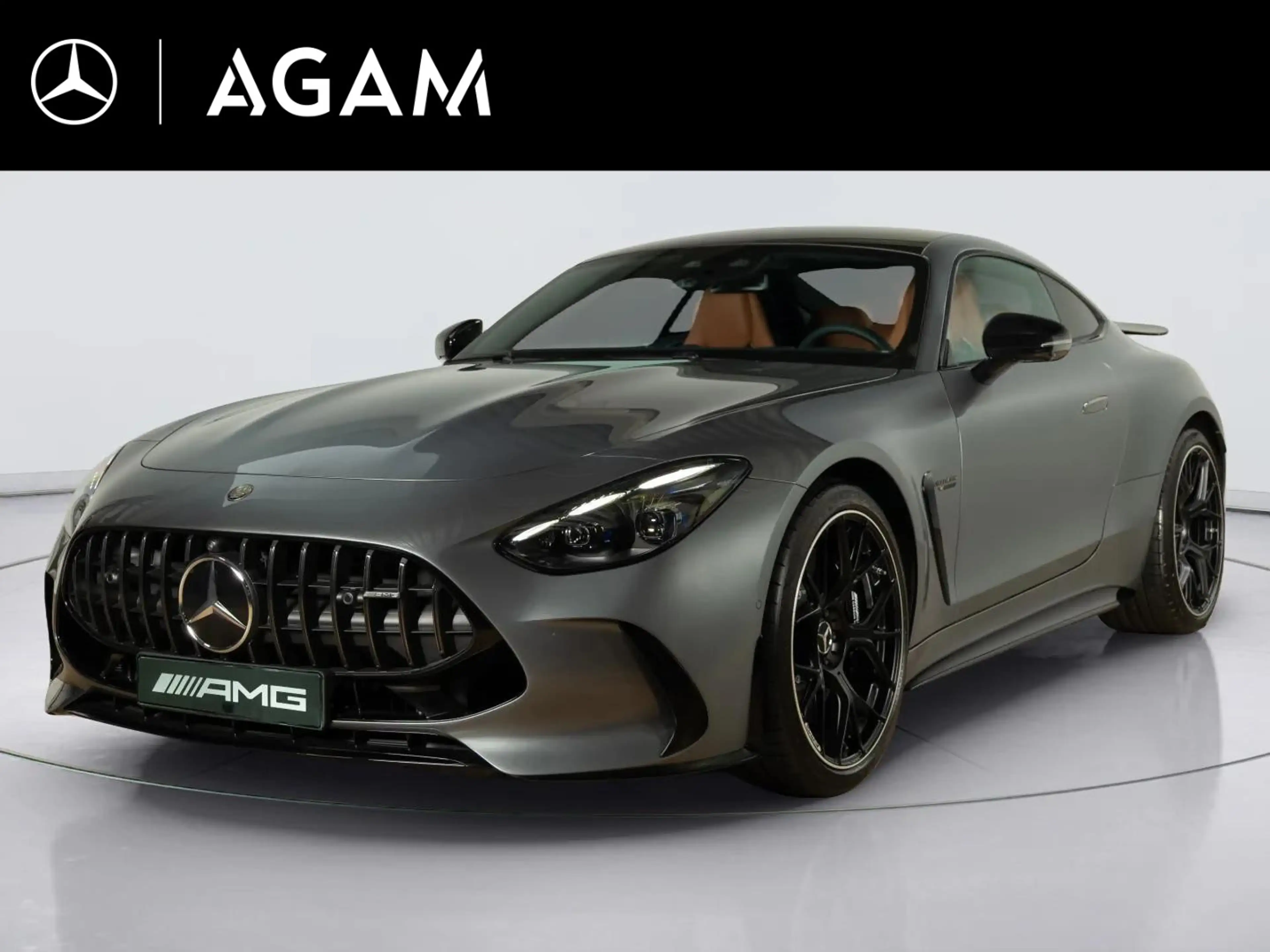 Mercedes-Benz AMG GT 63 S E Performance Night Edition