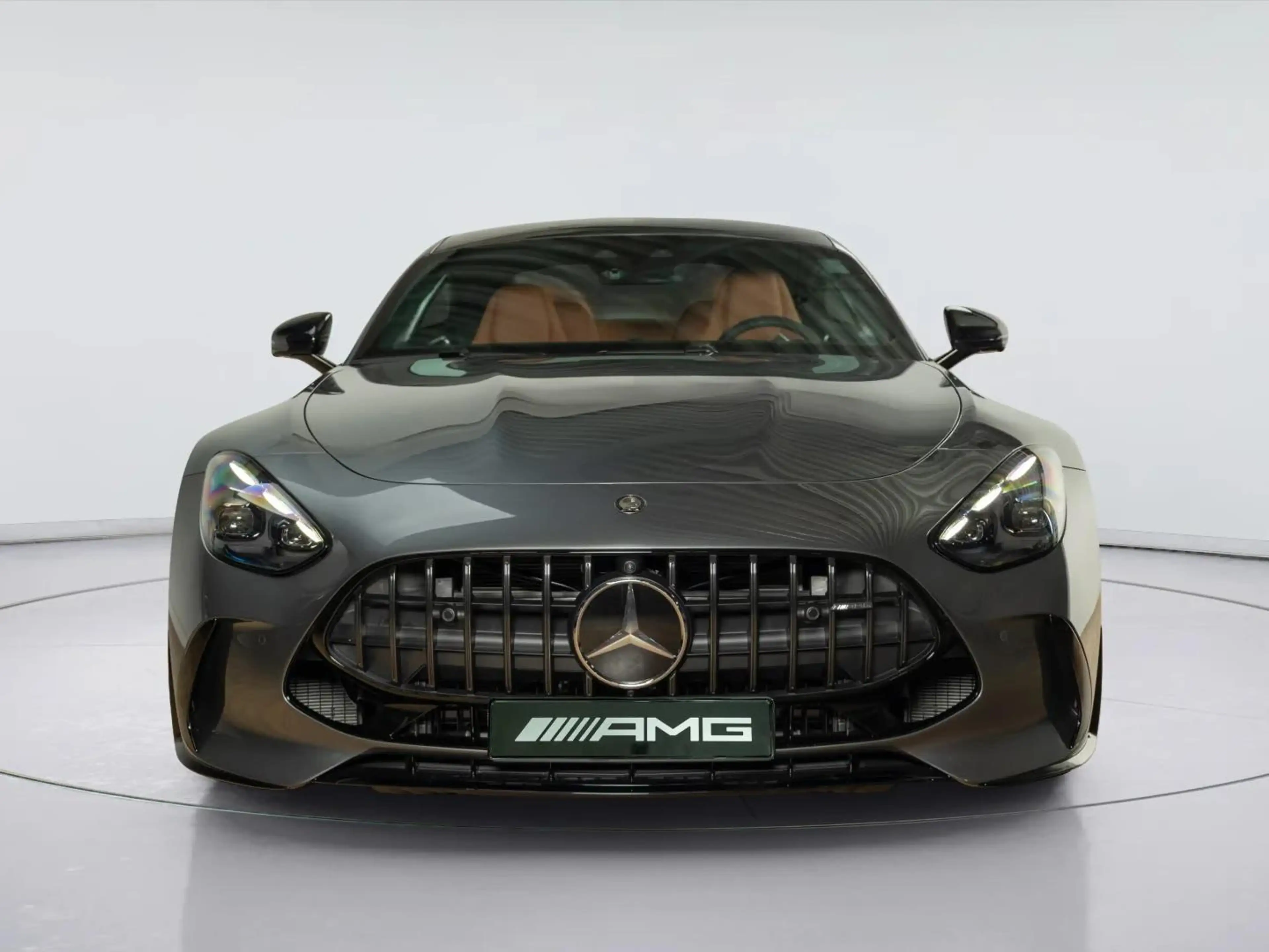 Mercedes-Benz AMG GT 63 S E Performance Night Edition — photo 6