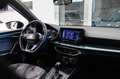 SEAT Arona Arona  1.0 ecotsi Xperience 110cv dsg LED Silber - thumbnail 10