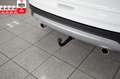 Ford Kuga 2-SITZ*CARGO*VAN*TITANIUM*AWD*AUTOM*NAV*AHK Weiß - thumbnail 7