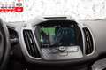 Ford Kuga 2-SITZ*CARGO*VAN*TITANIUM*AWD*AUTOM*NAV*AHK Weiß - thumbnail 14