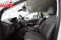 Ford Kuga 2-SITZ*CARGO*VAN*TITANIUM*AWD*AUTOM*NAV*AHK Weiß - thumbnail 9