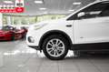 Ford Kuga 2-SITZ*CARGO*VAN*TITANIUM*AWD*AUTOM*NAV*AHK Weiß - thumbnail 4