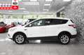 Ford Kuga 2-SITZ*CARGO*VAN*TITANIUM*AWD*AUTOM*NAV*AHK Weiß - thumbnail 3