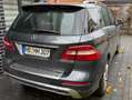 Mercedes-Benz ML 350 ML 350 4MATIC BlueEFFICIENCY 7G-TRONICEdition 1 Grau - thumbnail 13