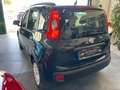 Fiat Panda Panda III 2012 1.2 Lounge 69cv Schwarz - thumbnail 6