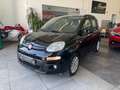 Fiat Panda Panda III 2012 1.2 Lounge 69cv Schwarz - thumbnail 7