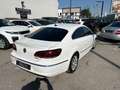 Volkswagen CC 2,0 TDI 177PS Topzustand PICKERL Parkhilfe Sitzhei Weiß - thumbnail 3