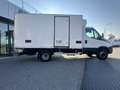 Iveco 60C15FrigoFNAX-20°CATP12 274000x2105x1900kg2560 Blanc - thumbnail 4