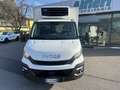 Iveco 60C15FrigoFNAX-20°CATP12 274000x2105x1900kg2560 Blanc - thumbnail 2
