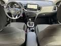 Kia Ceed / cee'd 1.5 DCT7 Vision Aktionsfahrzeug !!! Grau - thumbnail 9
