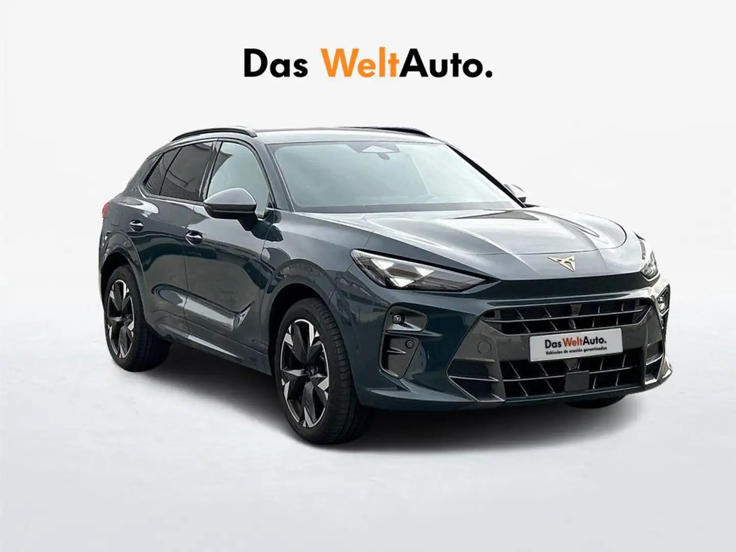 CUPRA Terramar 1.5 eTSI 110 DSG Azul - 1
