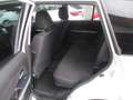 Suzuki Grand Vitara Grand Vitara II 2006 1.9 ddis offroad 5p E5 Bianco - thumbnail 12