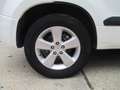 Suzuki Grand Vitara Grand Vitara II 2006 1.9 ddis offroad 5p E5 Bianco - thumbnail 14