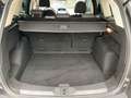 Ford Kuga Sync Edition Autom. mit AHK 1850KG Gris - thumbnail 12