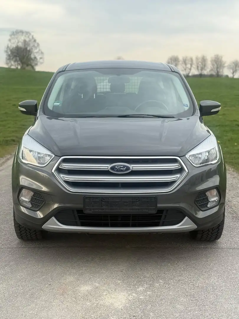 Ford Kuga 2.0 TDCi Trend 4x4 Start/Stopp EURO 6 Grau - 2