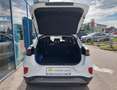 Ford Puma 1,0 EcoBoost Hybrid Titanium Weiß - thumbnail 6