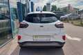 Ford Puma 1,0 EcoBoost Hybrid Titanium Weiß - thumbnail 5