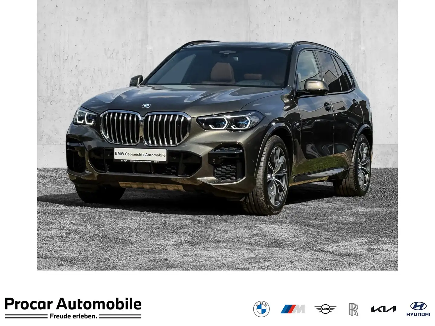 BMW X5 xDrive30d Apt.2-Achs LF SoftClose AHK Pano  Sthzg Grün - 1