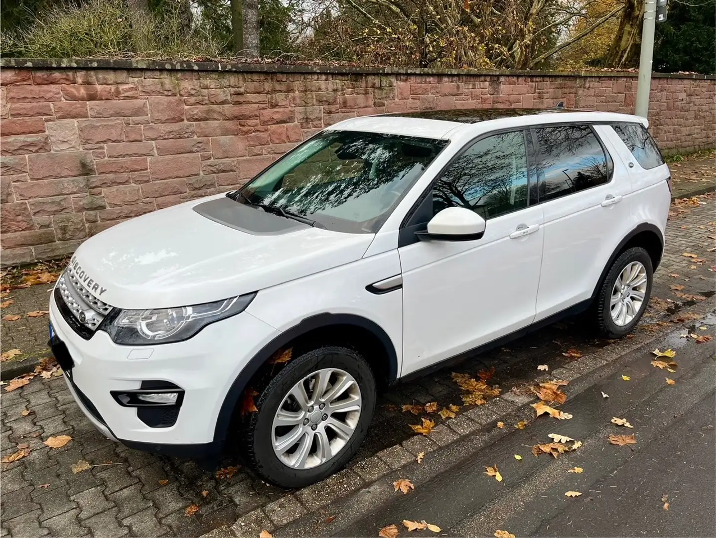 Land Rover Discovery Sport Discovery Sport TD4 Aut. HSE Luxury Weiß - 1