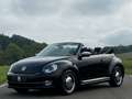 Volkswagen Beetle Cabriolet 50´s Design/Bi-Xenon/Leder/TOP/ Schwarz - thumbnail 2