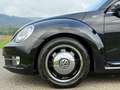 Volkswagen Beetle Cabriolet 50´s Design/Bi-Xenon/Leder/TOP/ Schwarz - thumbnail 14