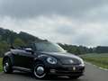Volkswagen Beetle Cabriolet 50´s Design/Bi-Xenon/Leder/TOP/ Schwarz - thumbnail 1