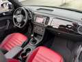 Volkswagen Beetle Cabriolet 50´s Design/Bi-Xenon/Leder/TOP/ Schwarz - thumbnail 27