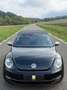 Volkswagen Beetle Cabriolet 50´s Design/Bi-Xenon/Leder/TOP/ Schwarz - thumbnail 18