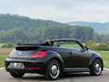 Volkswagen Beetle Cabriolet 50´s Design/Bi-Xenon/Leder/TOP/ Schwarz - thumbnail 10