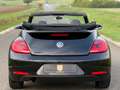 Volkswagen Beetle Cabriolet 50´s Design/Bi-Xenon/Leder/TOP/ Schwarz - thumbnail 9