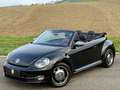 Volkswagen Beetle Cabriolet 50´s Design/Bi-Xenon/Leder/TOP/ Schwarz - thumbnail 15