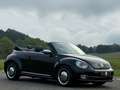 Volkswagen Beetle Cabriolet 50´s Design/Bi-Xenon/Leder/TOP/ Schwarz - thumbnail 5
