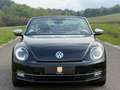Volkswagen Beetle Cabriolet 50´s Design/Bi-Xenon/Leder/TOP/ Schwarz - thumbnail 4