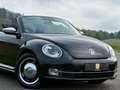 Volkswagen Beetle Cabriolet 50´s Design/Bi-Xenon/Leder/TOP/ Schwarz - thumbnail 12