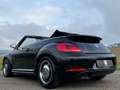 Volkswagen Beetle Cabriolet 50´s Design/Bi-Xenon/Leder/TOP/ Schwarz - thumbnail 13
