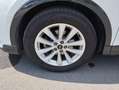 Audi Q3 35 TDI intense Weiß - thumbnail 9