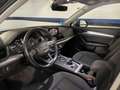 Audi Q5 50 TFSIe Advanced quattro-ultra S tronic Gris - thumbnail 41