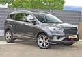 Ford Kuga 2.0 TDCi 4x4 Vignale Gris - thumbnail 10