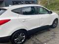 Hyundai iX35 1.7 CRDi 2WD Executive avec feuille rose. Wit - thumbnail 7