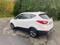 Hyundai iX35 1.7 CRDi 2WD Executive avec feuille rose. Wit - thumbnail 4